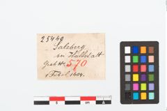 Etikett zu Bronzebrillenfibel (NHMW-PRAE-025440)